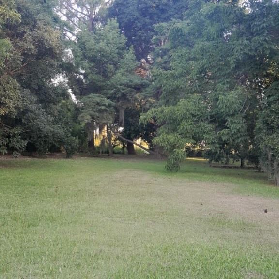 Ruta Nacional 11. Recreo Sur. - Zona vivero provincial. - 